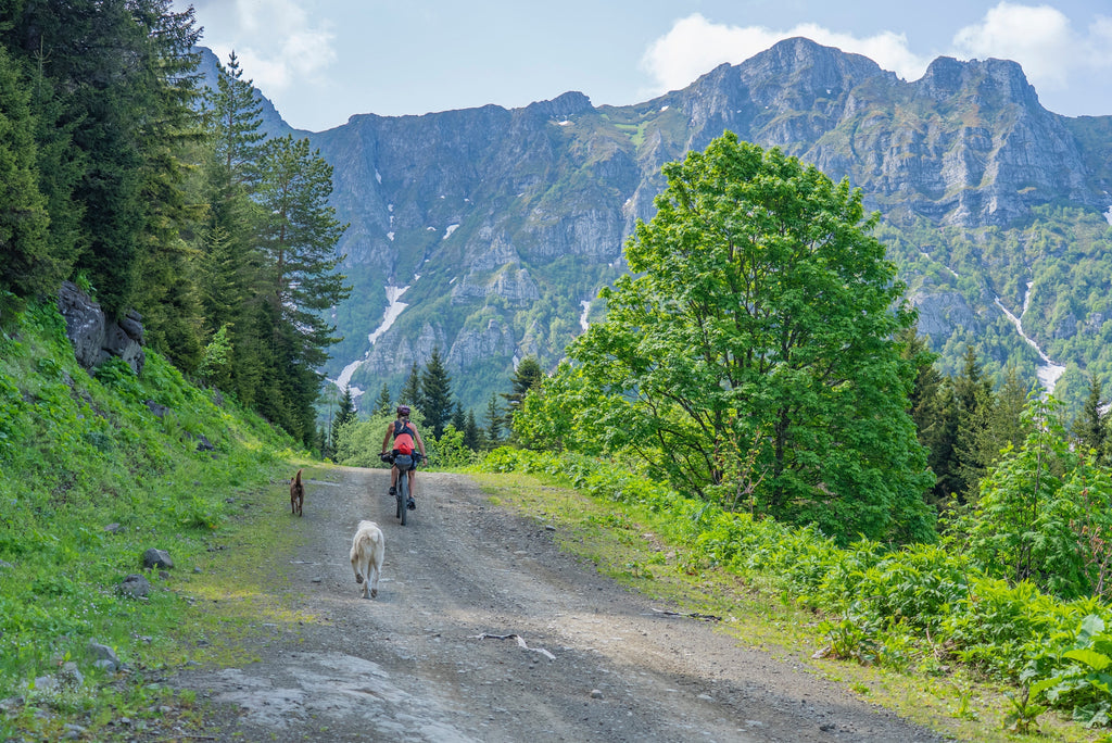 Postcard from Georgia: Bikepacking Adventure